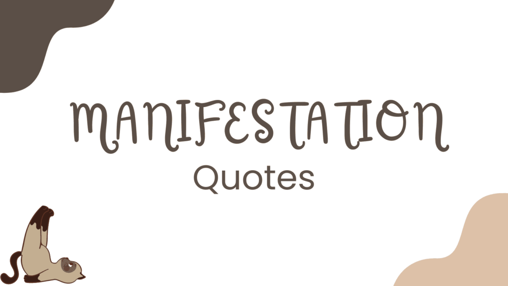 Lee más sobre el artículo 80 Manifestation Quotes which Are the Key to Your Wildest Dreams