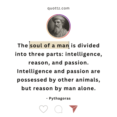 pythagoras quotes on humanity